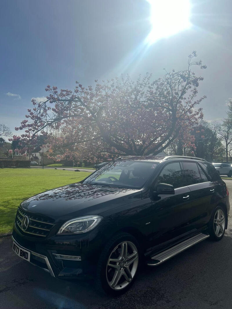 MERCEDES-BENZ M CLASS